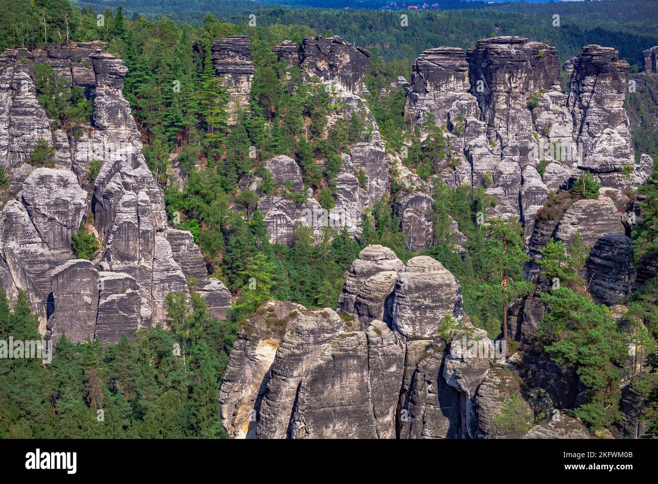 Il fiume Elba e il Parco Nazionale della Svizzera Sassone vicino a Dresda in Germania. Foto Stock