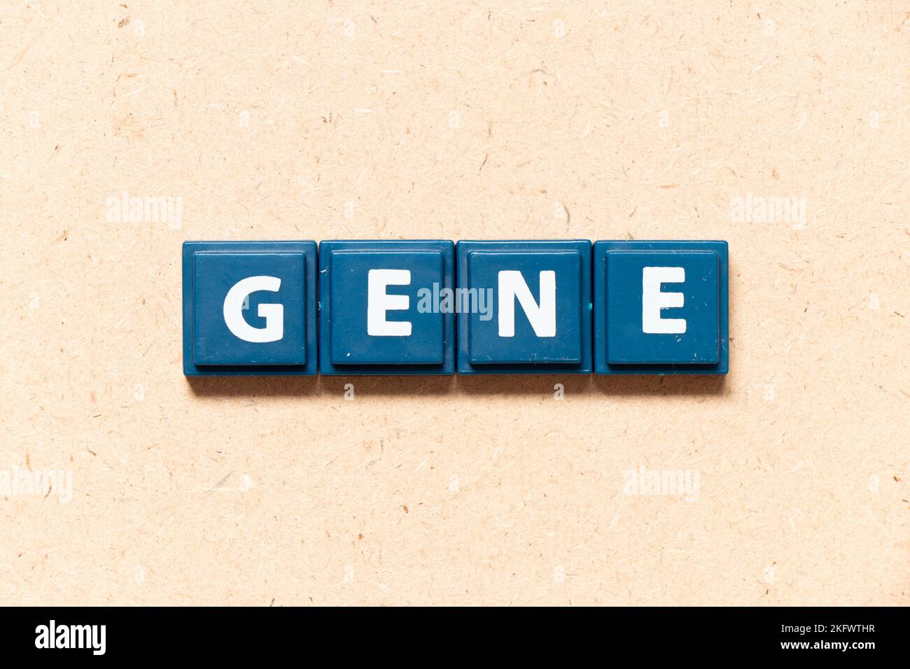 Piastrella lettera in inglese gene parola su sfondo legno Foto Stock