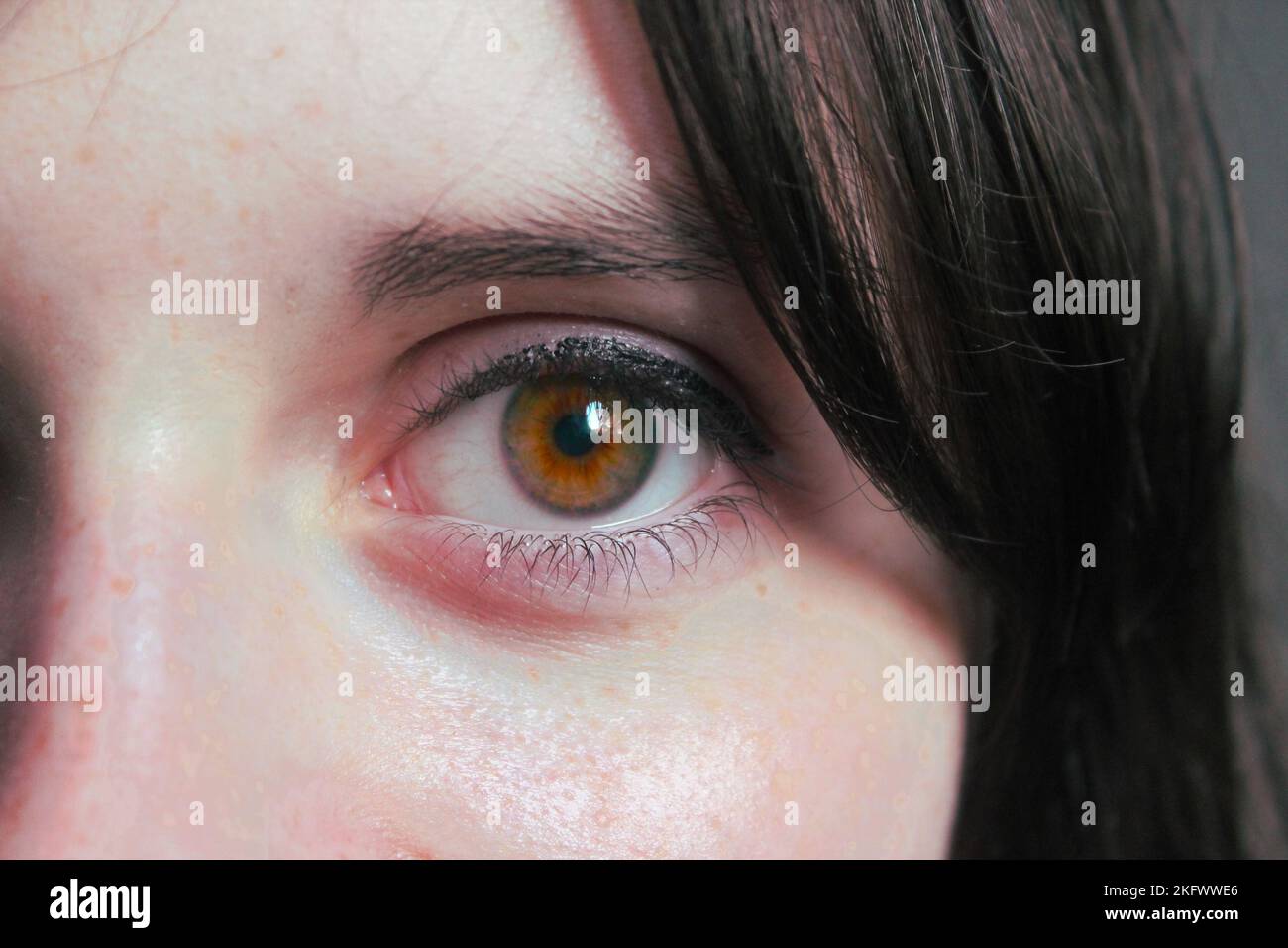 Un occhio Foto Stock