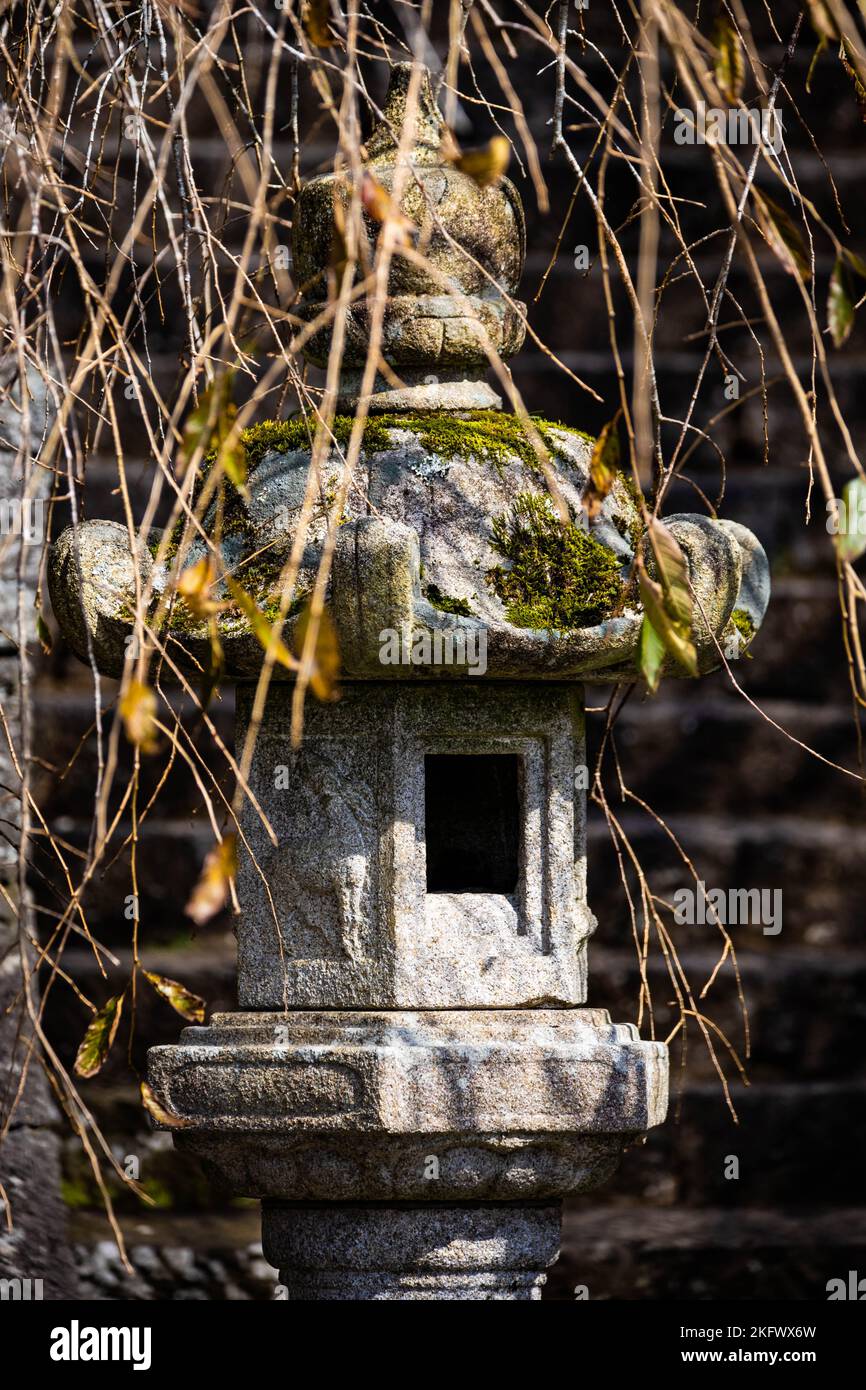 Antiche lanterne di toro in pietra nella foresta del tempio da vicino Foto Stock
