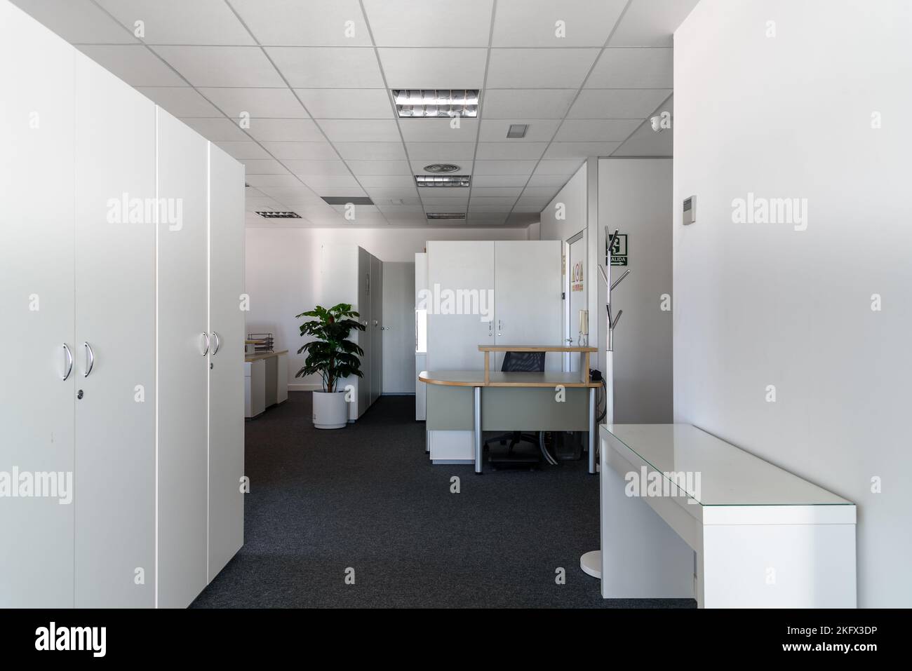 Posti vuoti per i lavoratori in coworking contemporaneo. Interni per uffici aziendali di startup in un nuovo luogo di lavoro. Interni di uffici open space Foto Stock