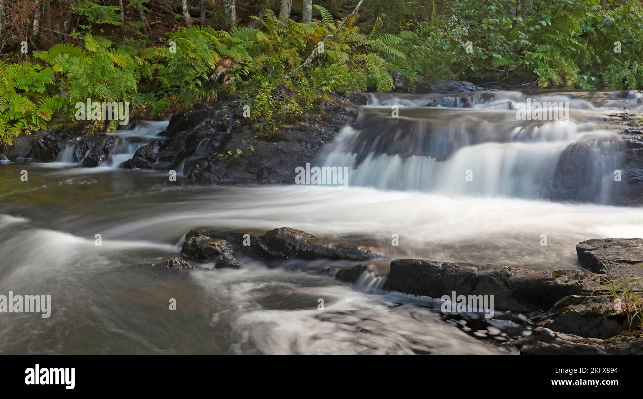 Piccola cascata in una fitta foresta nel Maine Foto Stock