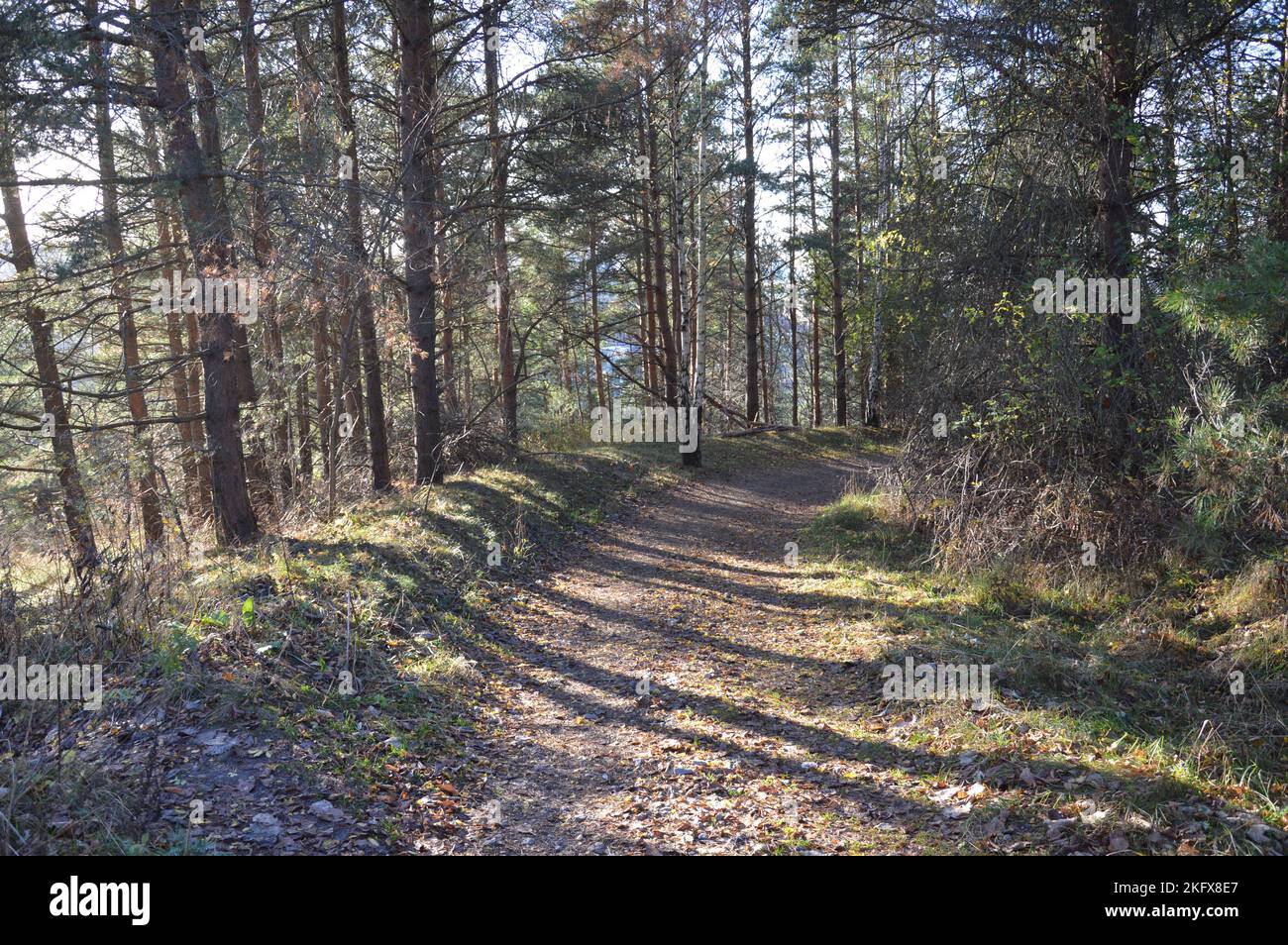 Solna, Svezia - 12 novembre 2022 - collina di Frösundatoppen (Haga kullen). (Foto di Markku Rainer Peltonen) Foto Stock