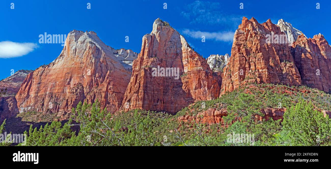 I tre Patriarchi nel Parco Nazionale di Zion nello Utah Foto Stock