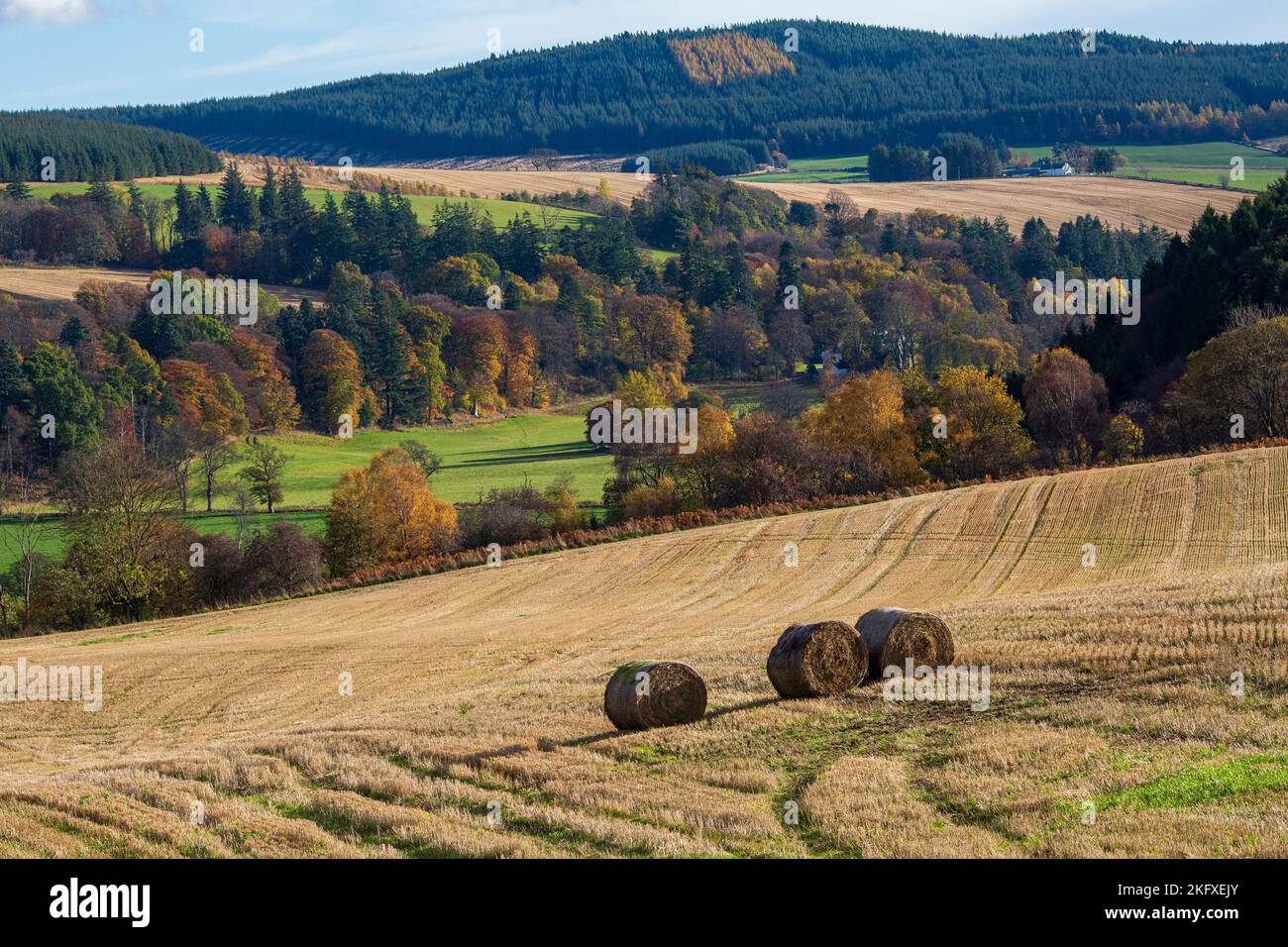 Le colline di Speyside, Scozia Foto Stock