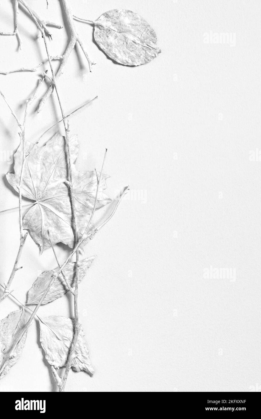 Foglie asciutte e ramoscelli su fondo bianco. Minimo stile nordico fermo vita con spazio di copia, immagine in bianco e nero Foto Stock