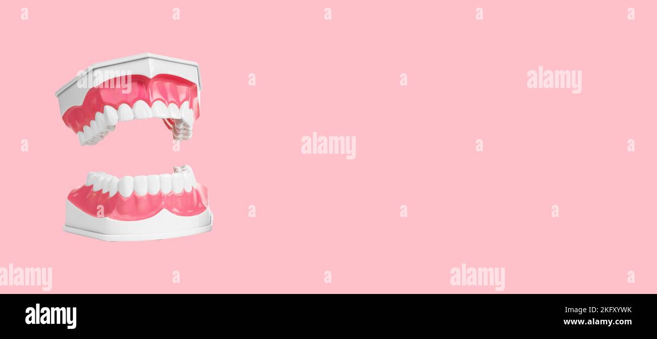 Denti bianchi, gengive rosa sane banner per odontoiatria, stomatologia su sfondo rosa con spazio copia. Foto di alta qualità Foto Stock