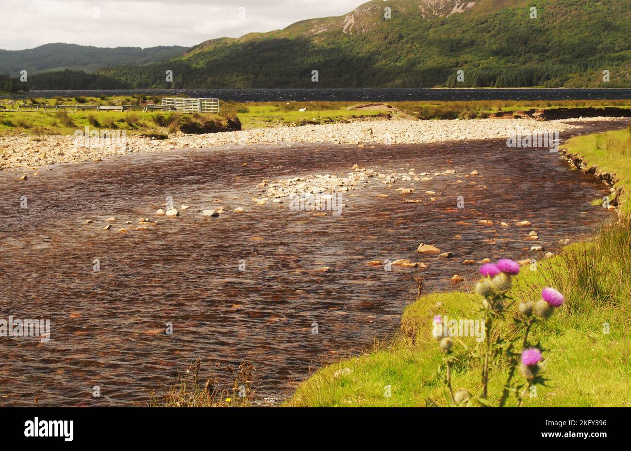 Una vista all'estremità sud-est di Loch Ba, Mull, Scozia che mostra il fiume roccioso e roccioso e il paesaggio selvaggio e remoto Foto Stock