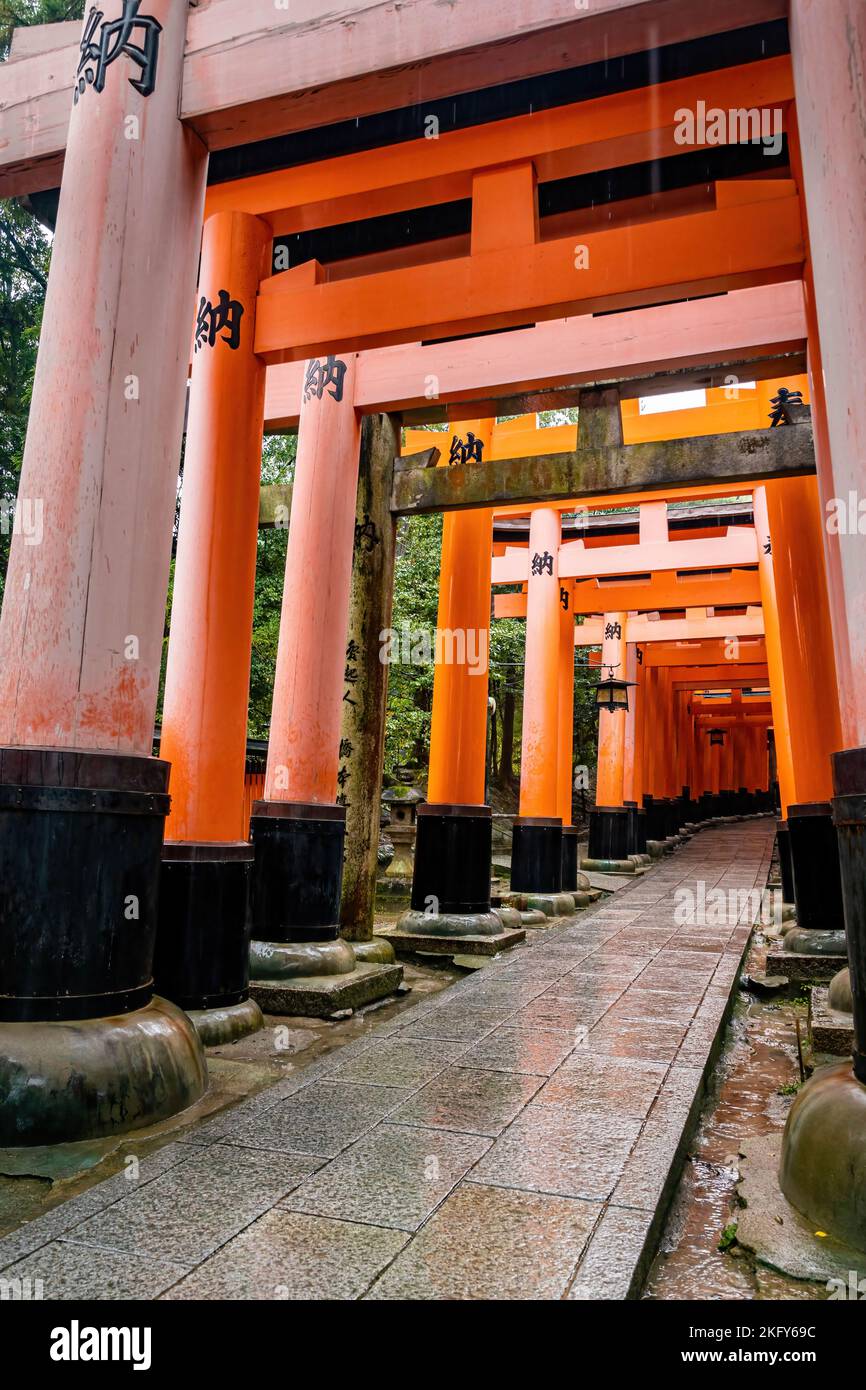 Famosi cancelli rossi a Fushimi Inari Taisha a Kyoto Giappone nessuno Foto Stock