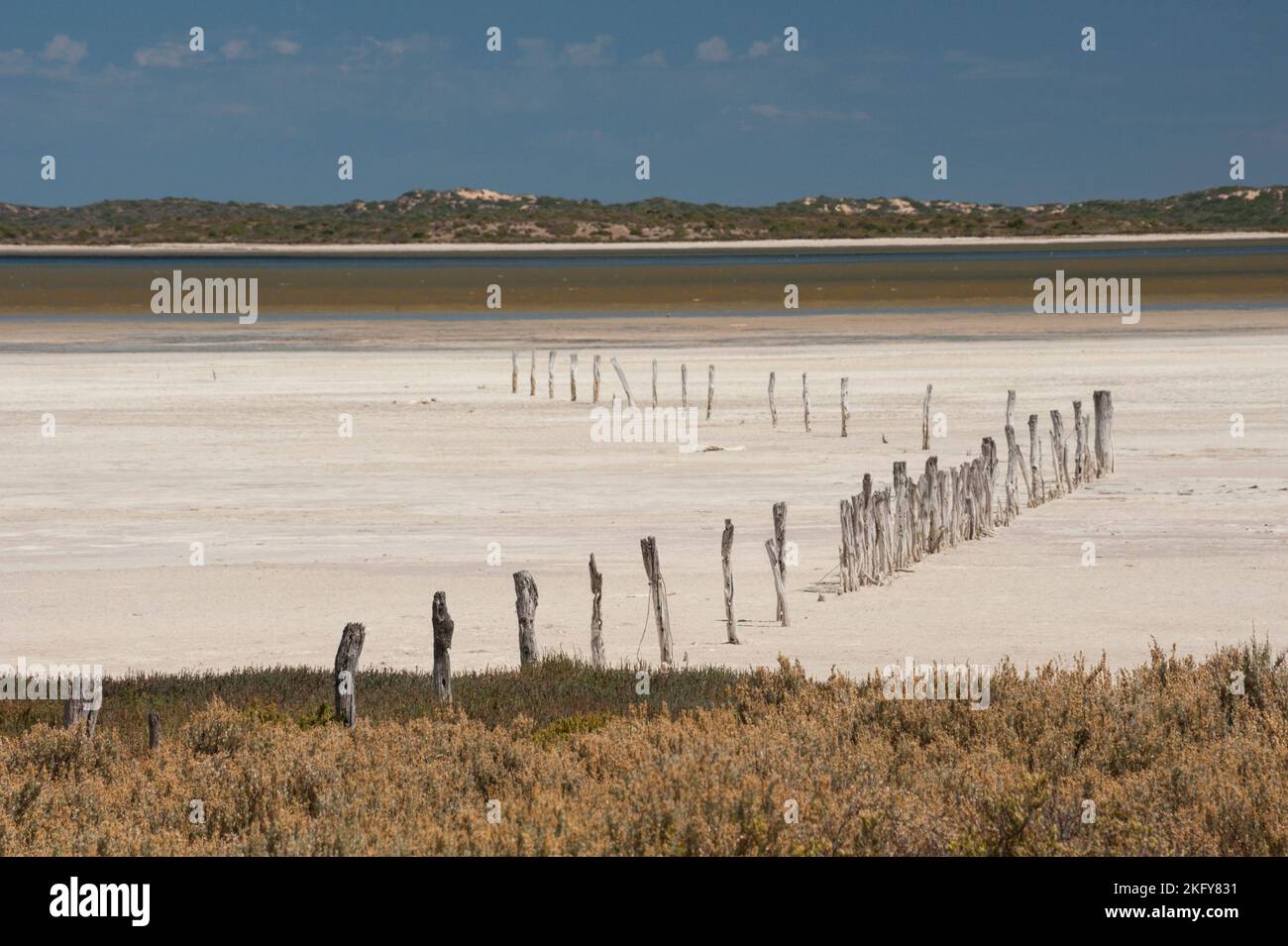 Una recinzione di pali di legno si snodano attraverso le spiagge sabbiose della laguna di Coorong, con le dune della penisola di Younghusband attraverso l'acqua, Sud Aus Foto Stock