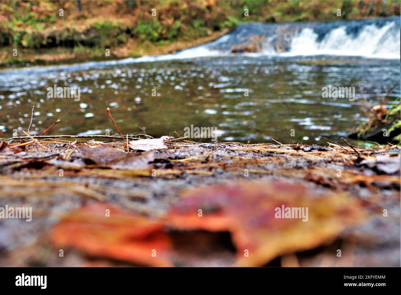 Una scena autunnale di Trout Falls sul fiume la Crosse nella Pine View Recreation Area è mostrata il 14 ottobre 2022, a Fort McCoy, Wisconsin. L'area ricreativa comprende ettari di terreno accessibile al pubblico con sentieri per escursioni, Pine View Campground, Whitetail Ridge Ski Area e Sportsman's Range. La Pine View Recreation Area offre attività durante tutto l'anno, che includono campeggio, escursioni, pesca e molto altro. Ulteriori informazioni sull'area sono disponibili all'indirizzo https://mccoy.armymwr.com/categories/outdoor-recreation. Nel 2022, l'area ricreativa ha celebrato 50 anni di utilizzo e l'area è gestita dalla direzione di Fort McCoy di Foto Stock