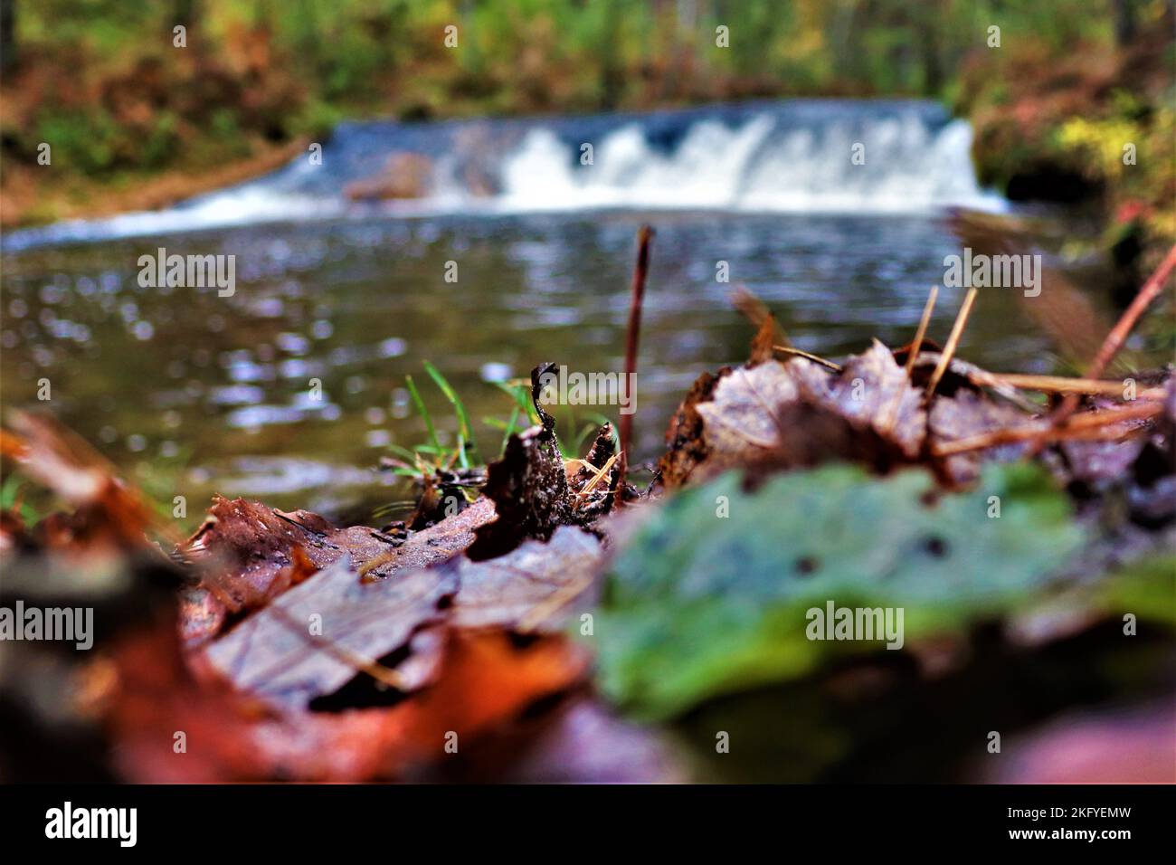 Una scena autunnale di Trout Falls sul fiume la Crosse nella Pine View Recreation Area è mostrata il 14 ottobre 2022, a Fort McCoy, Wisconsin. L'area ricreativa comprende ettari di terreno accessibile al pubblico con sentieri per escursioni, Pine View Campground, Whitetail Ridge Ski Area e Sportsman's Range. La Pine View Recreation Area offre attività durante tutto l'anno, che includono campeggio, escursioni, pesca e molto altro. Ulteriori informazioni sull'area sono disponibili all'indirizzo https://mccoy.armymwr.com/categories/outdoor-recreation. Nel 2022, l'area ricreativa ha celebrato 50 anni di utilizzo e l'area è gestita dalla direzione di Fort McCoy di Foto Stock