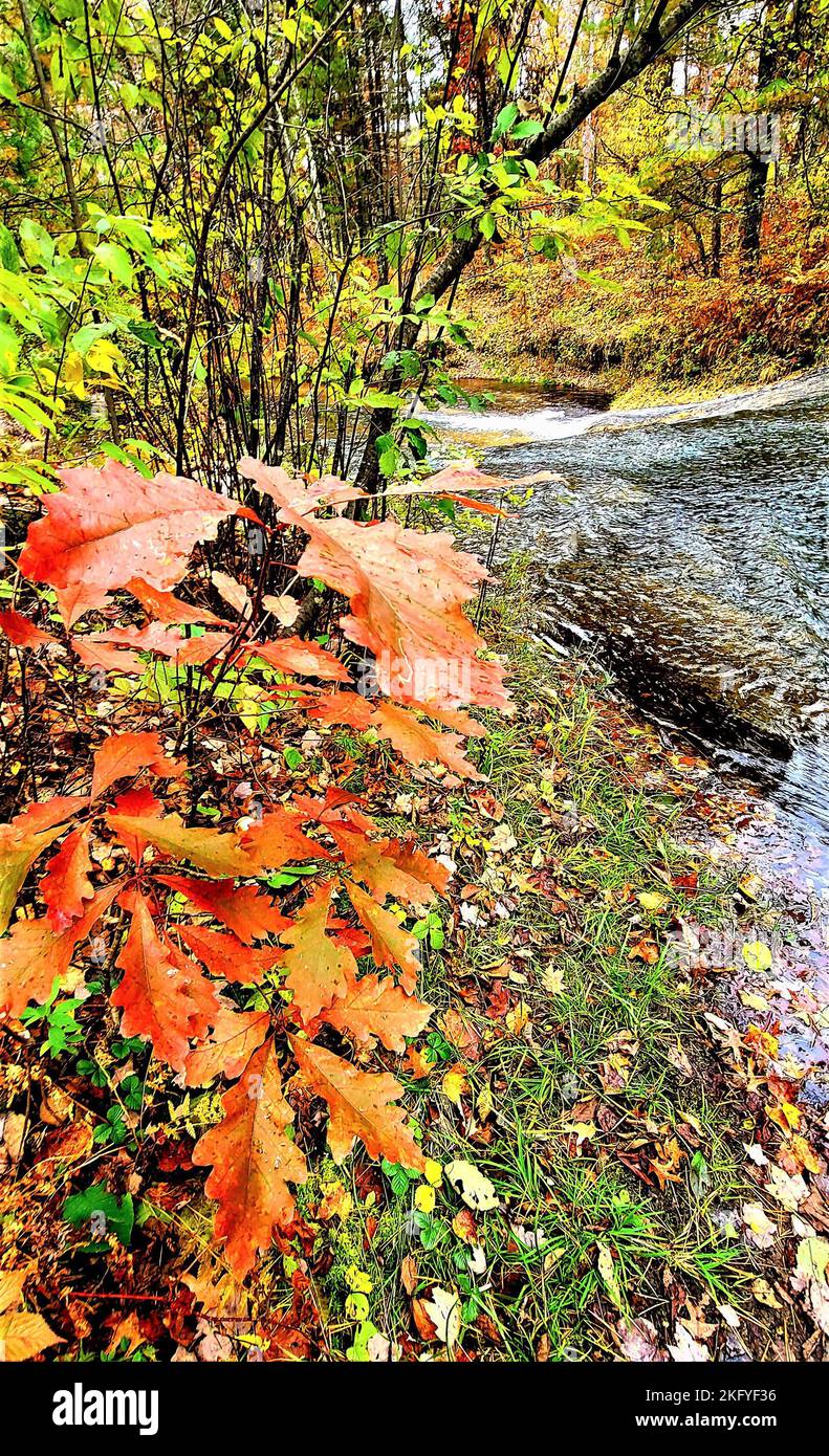 Una scena autunnale di Trout Falls sul fiume la Crosse nella Pine View Recreation Area è mostrata il 14 ottobre 2022, a Fort McCoy, Wisconsin. L'area ricreativa comprende ettari di terreno accessibile al pubblico con sentieri per escursioni, Pine View Campground, Whitetail Ridge Ski Area e Sportsman's Range. La Pine View Recreation Area offre attività durante tutto l'anno, che includono campeggio, escursioni, pesca e molto altro. Ulteriori informazioni sull'area sono disponibili all'indirizzo https://mccoy.armymwr.com/categories/outdoor-recreation. Nel 2022, l'area ricreativa ha celebrato 50 anni di utilizzo e l'area è gestita dalla direzione di Fort McCoy di Foto Stock