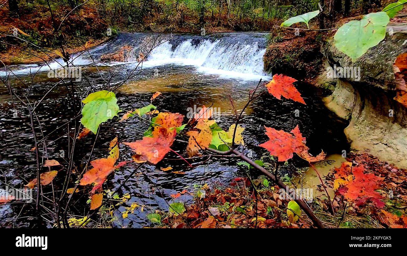 Una scena autunnale di Trout Falls sul fiume la Crosse nella Pine View Recreation Area è mostrata il 14 ottobre 2022, a Fort McCoy, Wisconsin. L'area ricreativa comprende ettari di terreno accessibile al pubblico con sentieri per escursioni, Pine View Campground, Whitetail Ridge Ski Area e Sportsman's Range. La Pine View Recreation Area offre attività durante tutto l'anno, che includono campeggio, escursioni, pesca e molto altro. Ulteriori informazioni sull'area sono disponibili all'indirizzo https://mccoy.armymwr.com/categories/outdoor-recreation. Nel 2022, l'area ricreativa ha celebrato 50 anni di utilizzo e l'area è gestita dalla direzione di Fort McCoy di Foto Stock