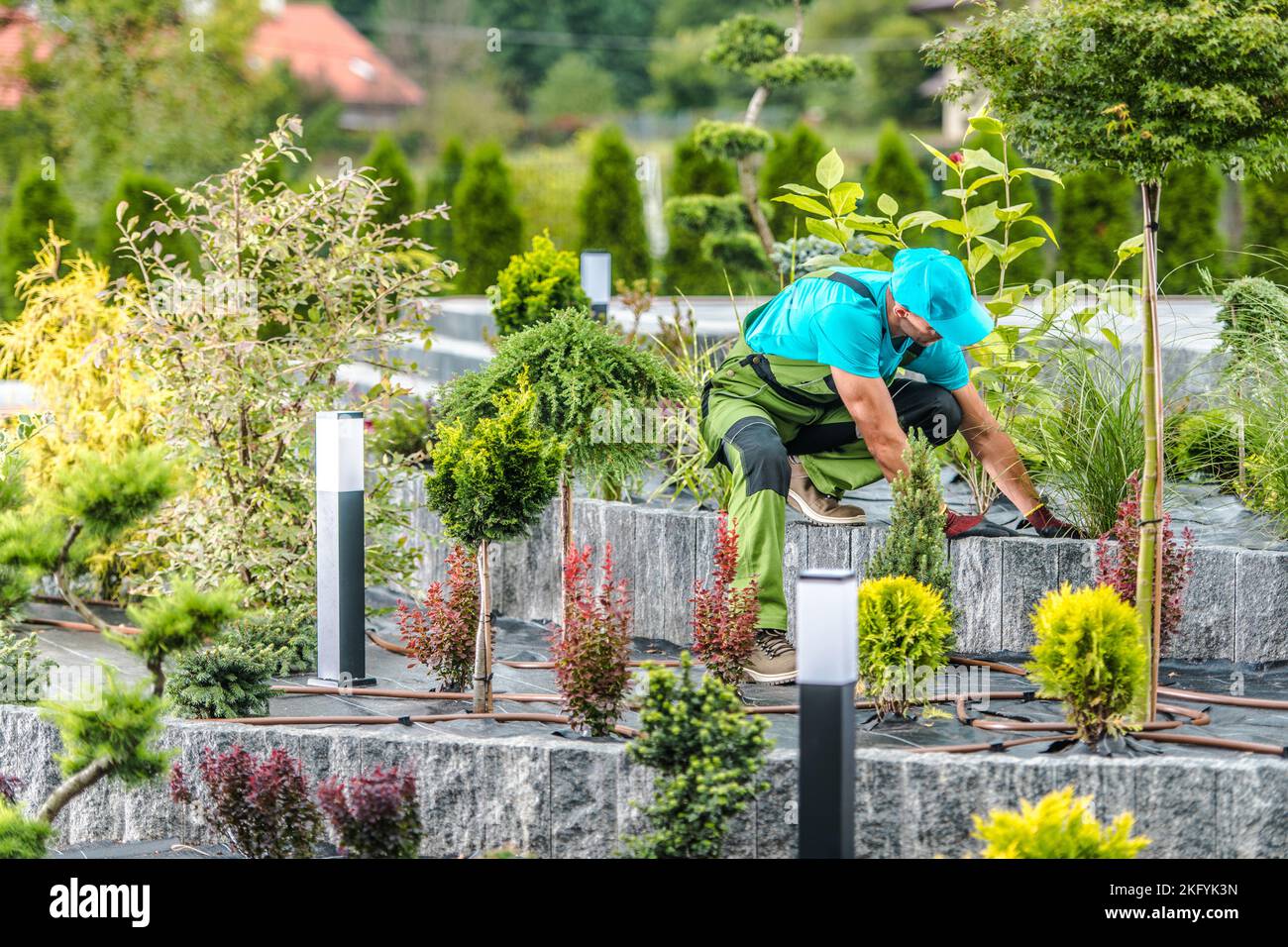 Paesaggista professionista che verifica la condizione del terreno di letto di fiore stratificato nel giardino del cortile del suo cliente. Tema giardinaggio. Foto Stock