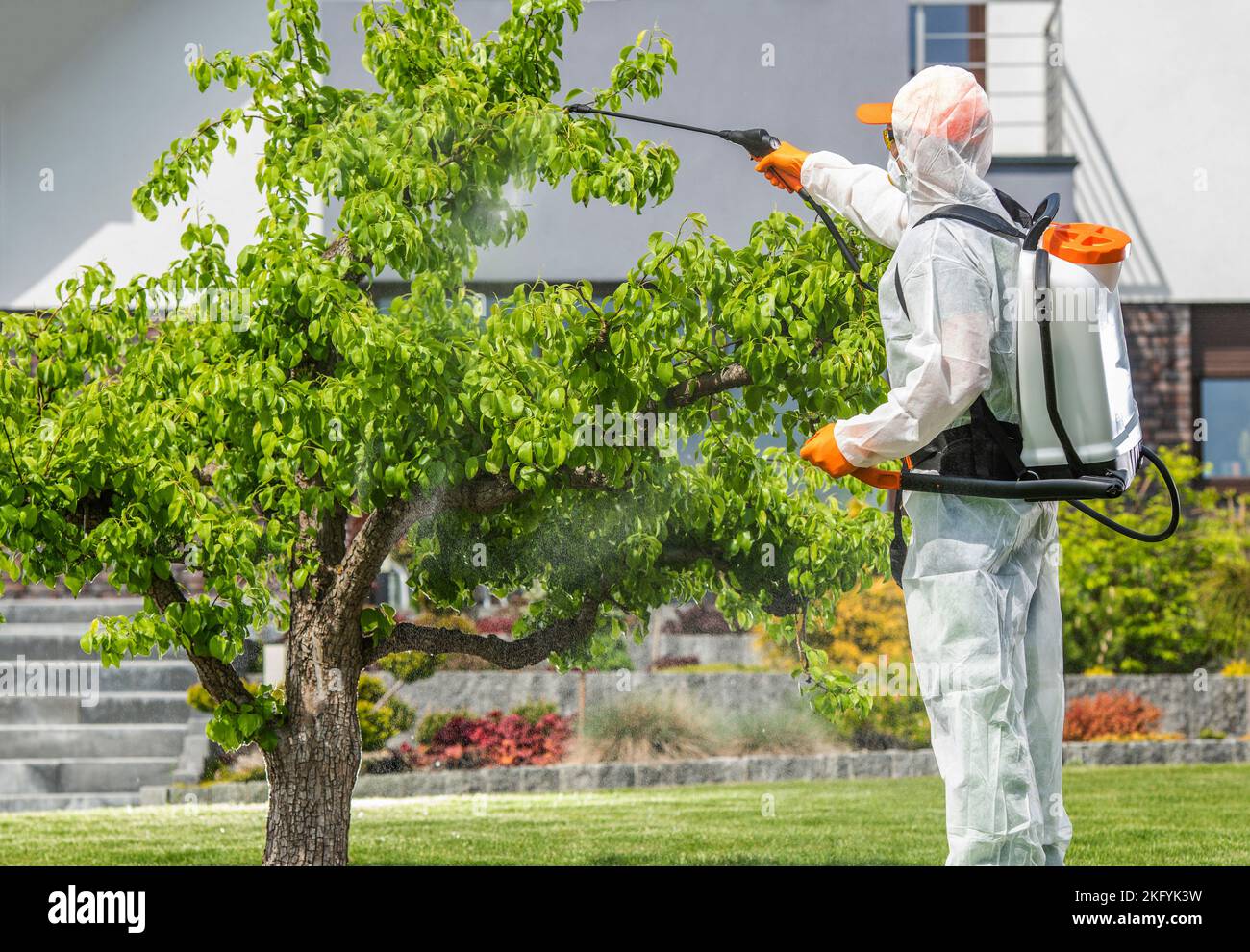 Giardiniere professionale in equipaggiamento protettivo applicare in modo sicuro pesticidi su albero utilizzando pompa irroratrice. Cura del giardino e tema di manutenzione. Foto Stock