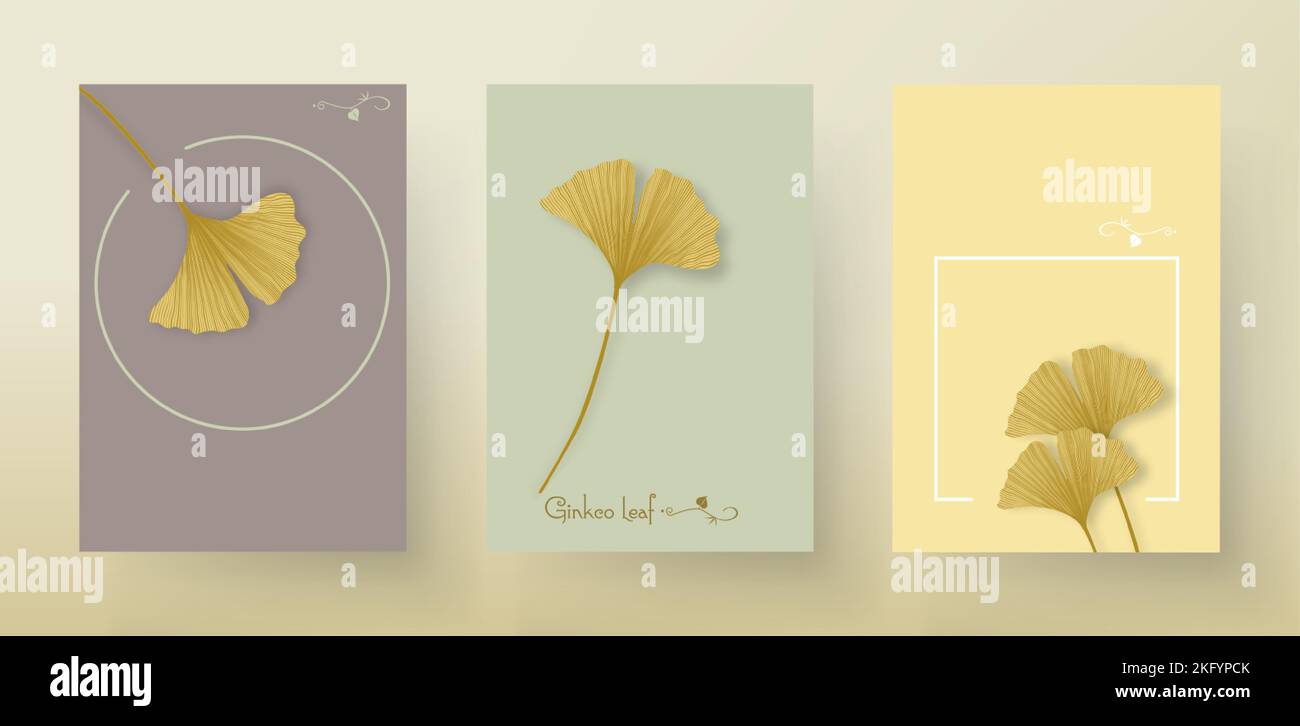 Impostare Ginkgo biloba foglie. Elementi di disegno a mano per biglietti da matrimonio con logo, cosmetici, tatuaggio, spa, gioielli, yoga design. Illustrazione vettoriale Illustrazione Vettoriale