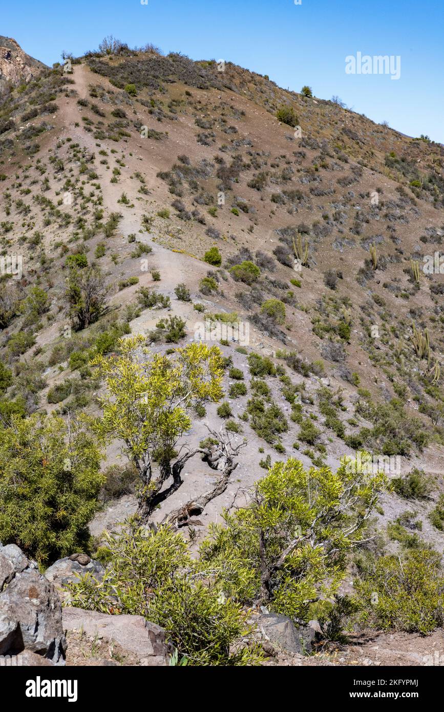 Mirador Tres Valles - Santuario de la Naturaleza Yerba Loca - Viaggiare in Cile Foto Stock