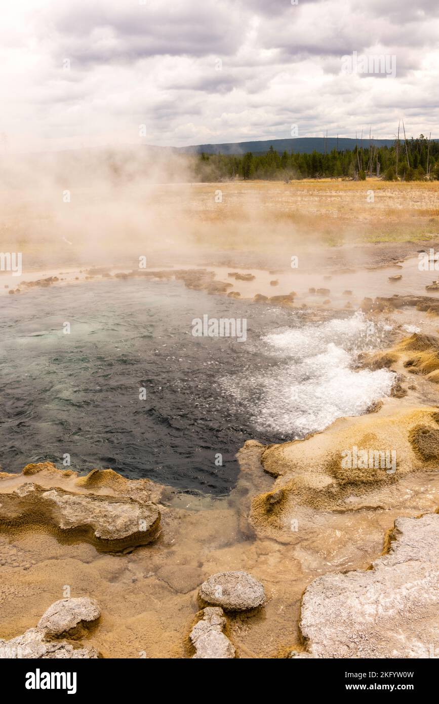 Una fotografia mattutina dell'acqua bollente in una caratteristica geotermica lungo il Fairy Falls Trail Yellowstone National Park, Wyoming, USA. Foto Stock