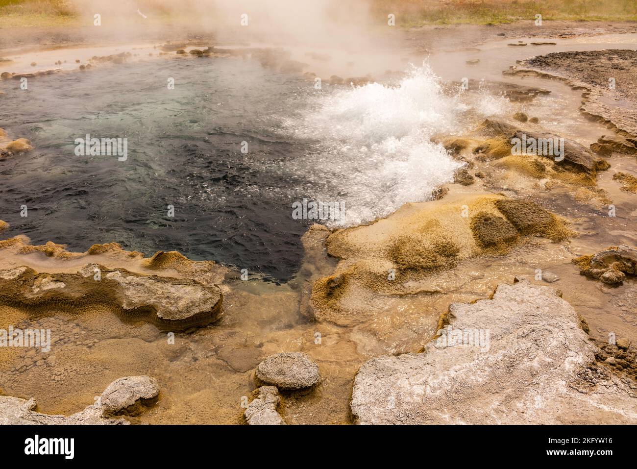 Una fotografia mattutina dell'acqua bollente in una caratteristica geotermica lungo il Fairy Falls Trail Yellowstone National Park, Wyoming, USA. Foto Stock