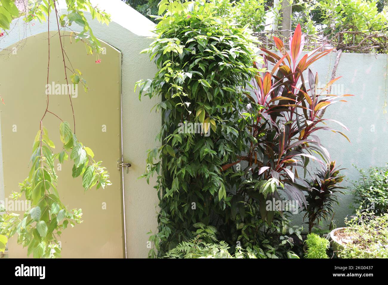 La mia casa e giardino di casa Foto Stock