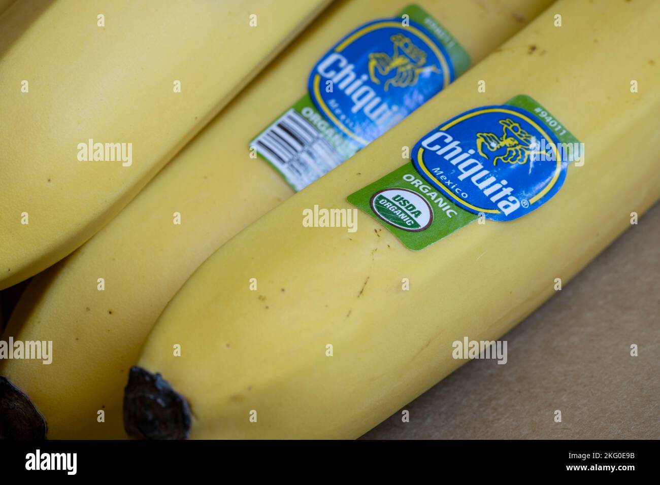 Primo piano di banane Chiquita biologiche importate dal Messico. Chiquita Brands International Sàrl è un produttore e distributore americano di banane e ... Foto Stock