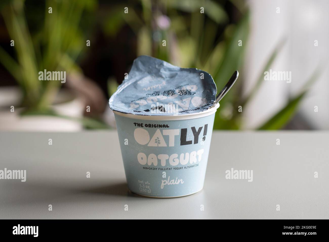 Una tazza di oatgurt semplice di marca Oatly, un'alternativa di yogurt intero non caseario prodotta da Oatly Group AB, con un cucchiaio in essa, isolato su un tavolo. Foto Stock