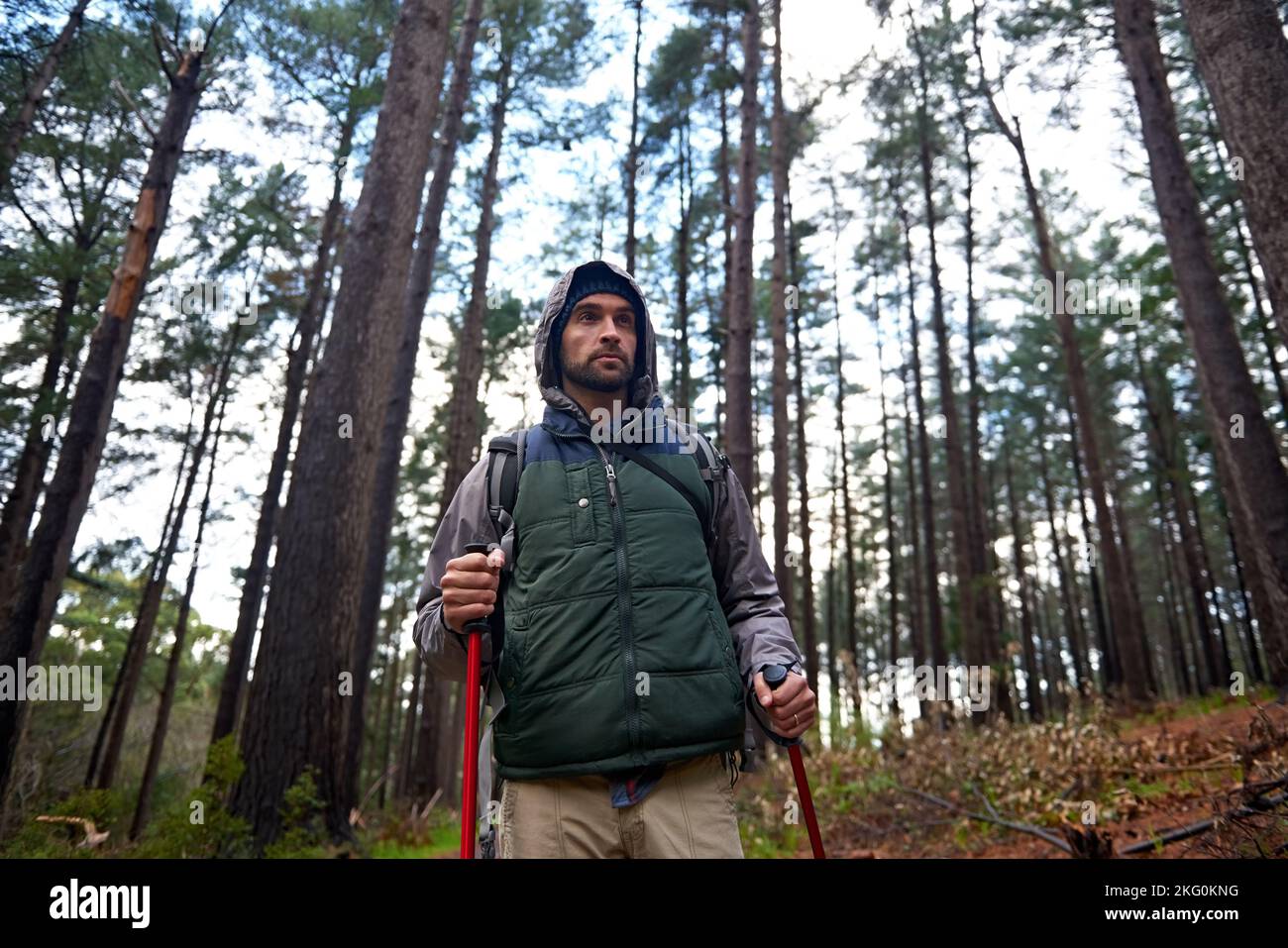 Continua a camminare. Un bell'uomo che cammina in una pineta utilizzando bastoni da nordic walking. Foto Stock