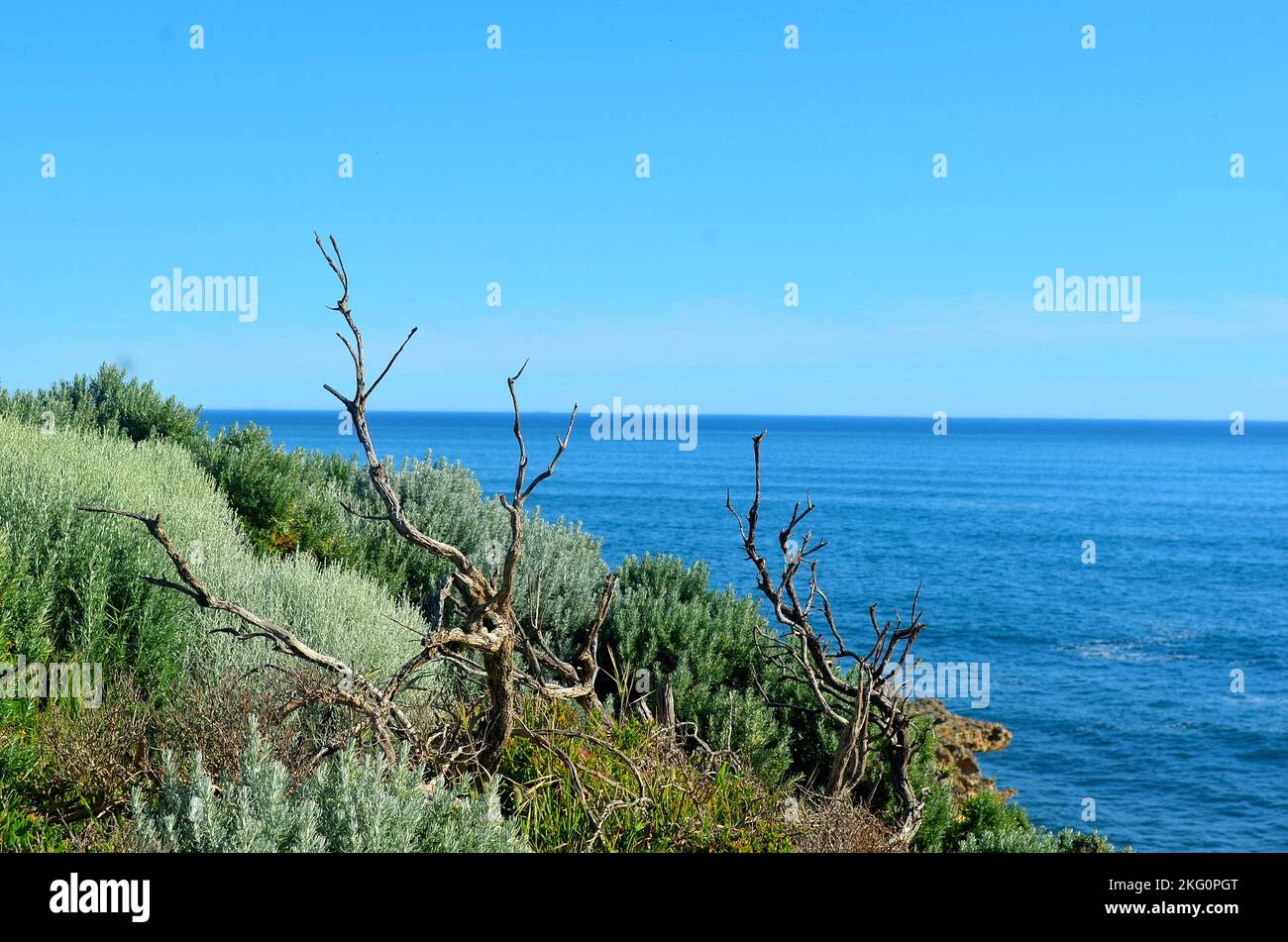 Varie foto scattate a Lock Ard Gorge a Port Campbell sulla Great Ocean Road Victoria, Australia Foto Stock