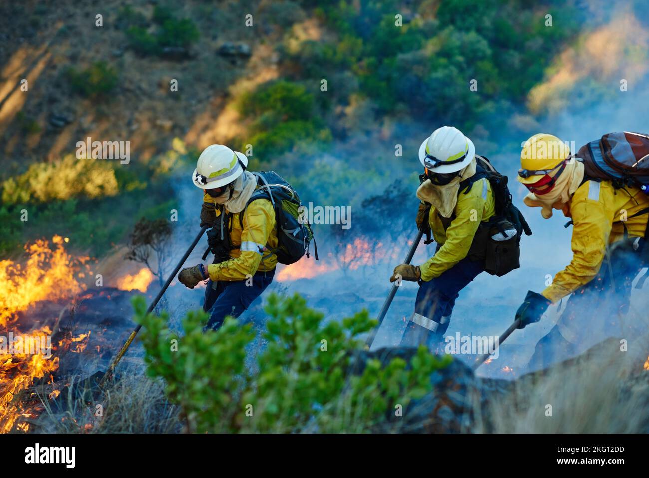 Respingendo le fiamme, i vigili del fuoco combattono un fuoco selvaggio. Foto Stock