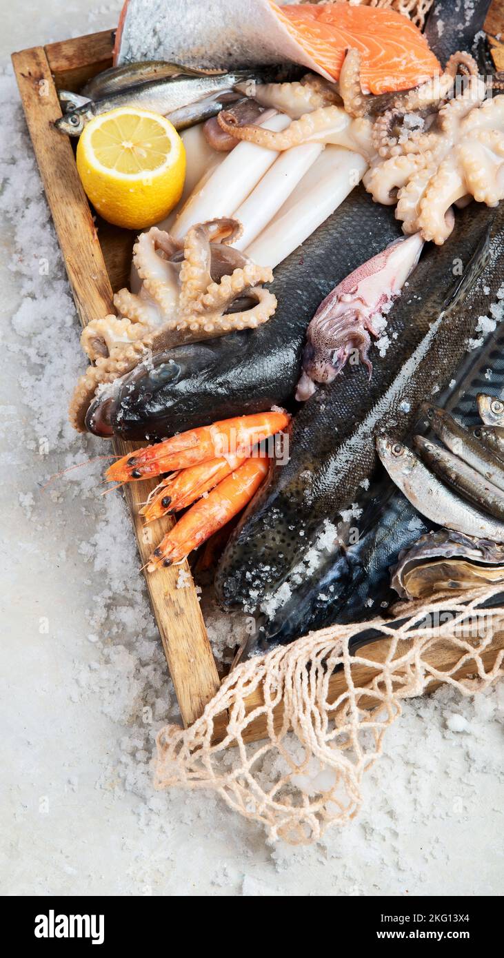 Frutti di mare. Pesce fresco, gamberetti, ostriche e polpi su sfondo grigio. Vista dall'alto. Foto Stock