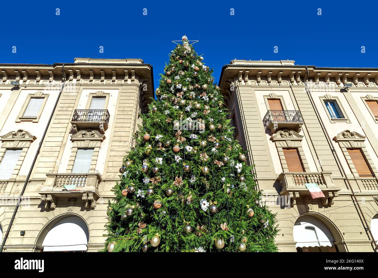 Albero di Natale decorato tra antichi edifici sulla piazza del paese di Alba, Piemonte, Italia settentrionale (vista ad angolo basso). Foto Stock