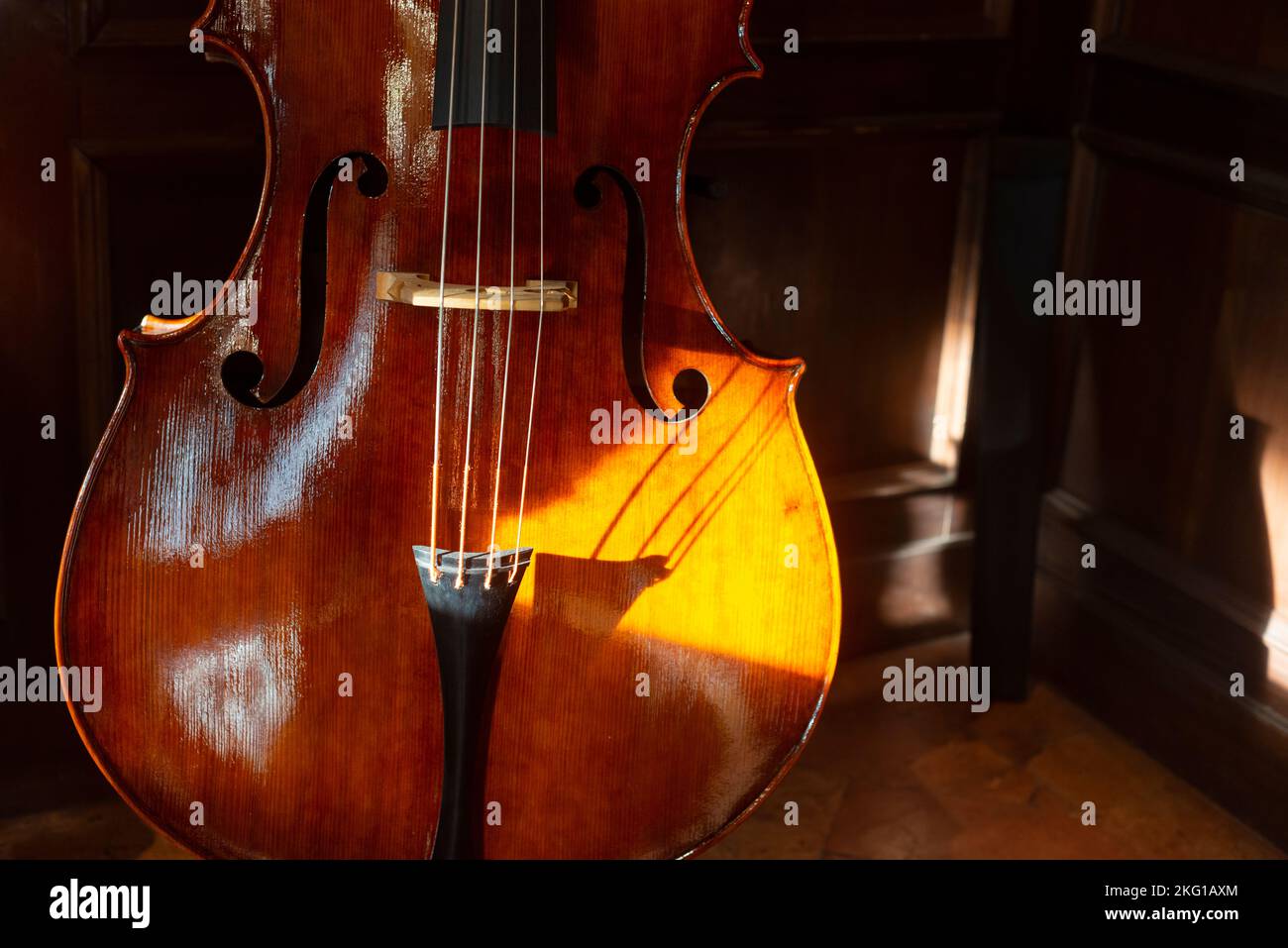 Close-up di contrabbasso, legno strumento musicale Foto Stock