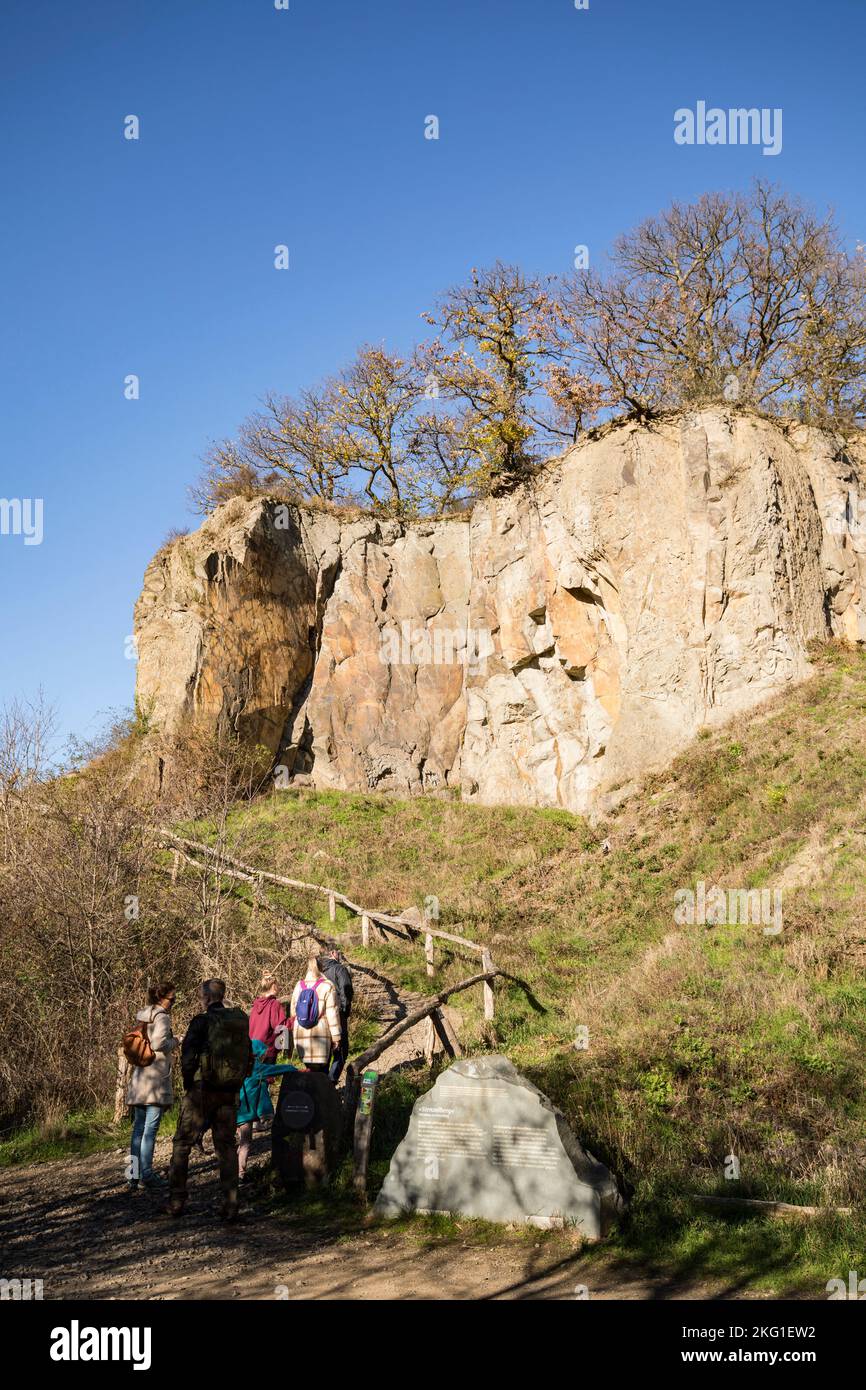 Parete rocciosa del monte Stenzelberg nella catena montuosa di Siebengebirge vicino a Koenigswinter, la montagna serviva come cava per latite di quarzo fino al Foto Stock