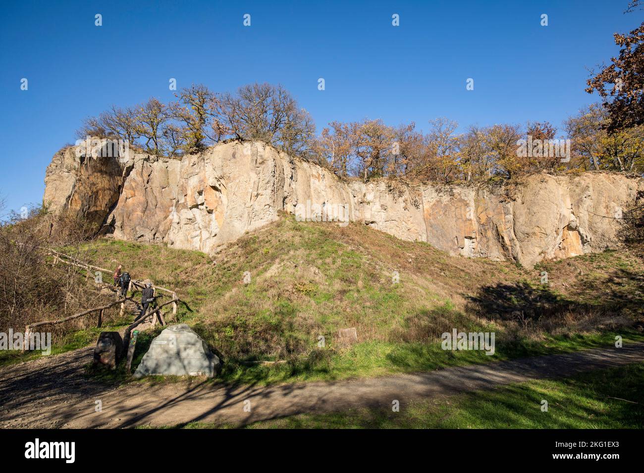 Parete rocciosa del monte Stenzelberg nella catena montuosa di Siebengebirge vicino a Koenigswinter, la montagna serviva come cava per latite di quarzo fino al Foto Stock
