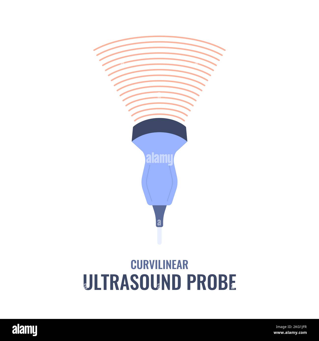 Illustrazione del diagramma sonografico del trasduttore della sonda ecografica curvilinea Illustrazione Vettoriale