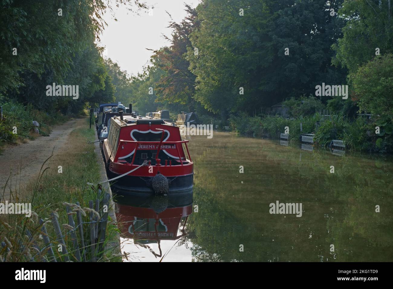 Mattina di inizio estate sul canale Kennet & Avon con barche strette ormeggiate dall'alzaia a Kintbury, Berkshire, agosto Foto Stock
