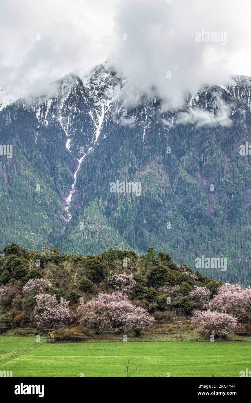 Uno scatto verticale del villaggio di Galang nella contea di Bomi, Tibet Foto Stock
