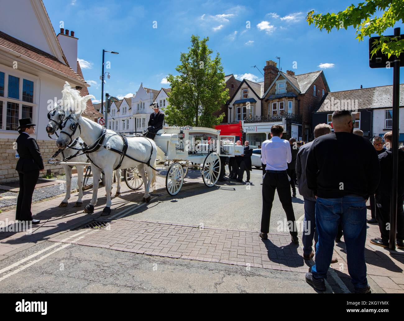 Corteo funerario vecchio stile sulla Cowley Road, Oxford; due grandi cavalli bianchi a pizzo disegnano un hearse bianco, con pallalori in nero Foto Stock