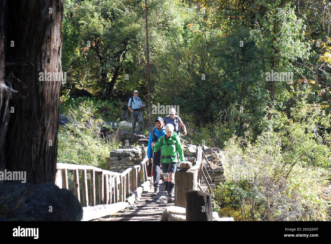 Un gruppo di trekking attraversa un piccolo ponte nella foresta del parco nazionale di shey phoksundo in Nepal Foto Stock