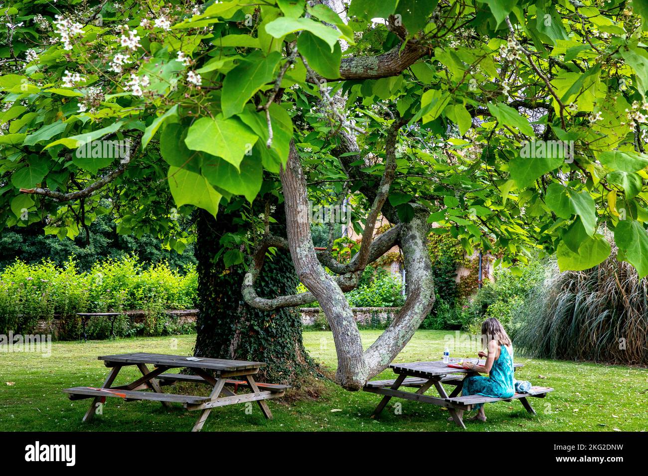 Donna che mangia il pranzo sotto un albero in un giardino nella Francia occidentale Foto Stock