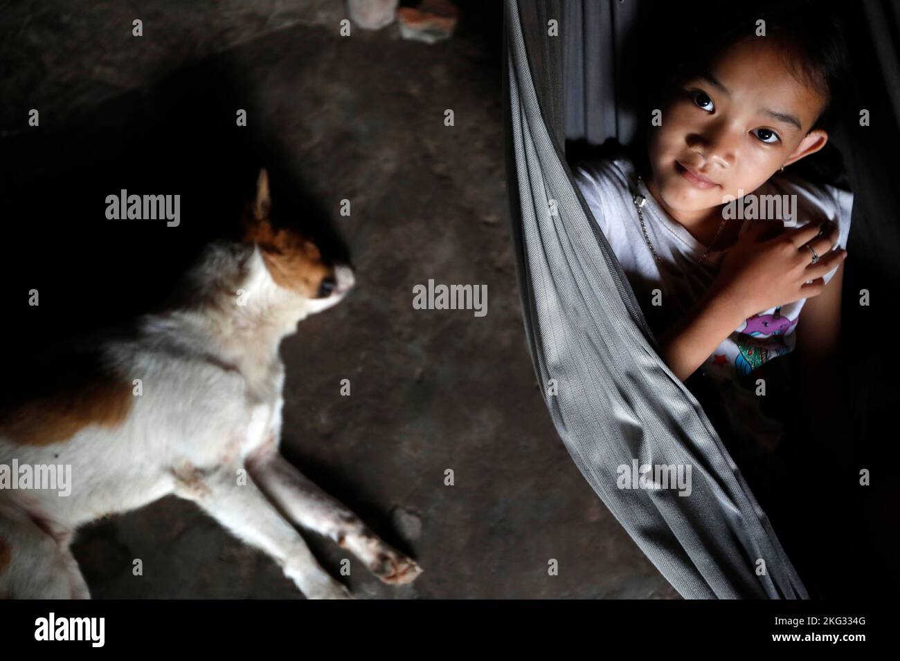 Ritratto di una giovane ragazza vietnamita con cane. Tan Chau. Vietnam. Foto Stock