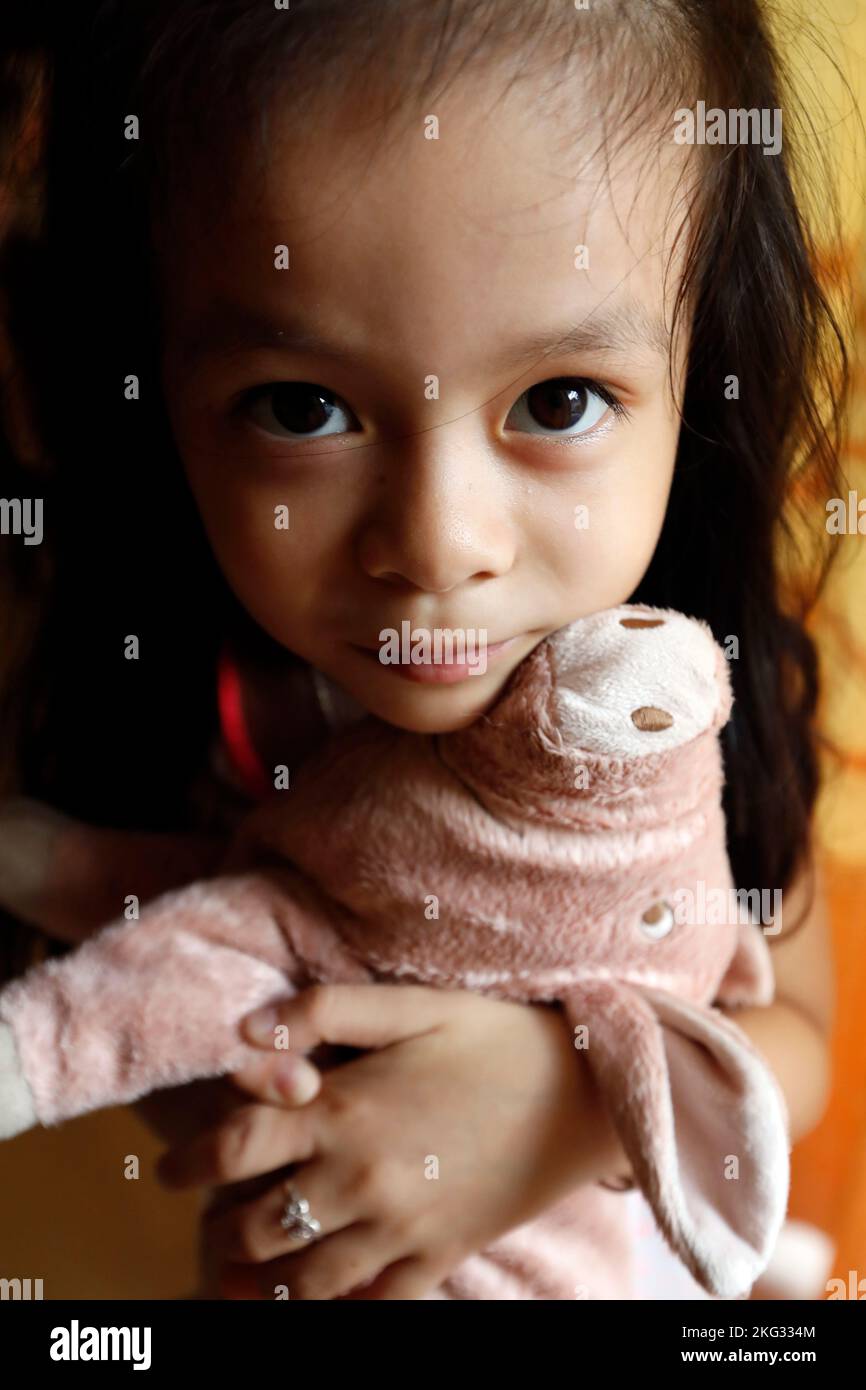 Ritratto di una giovane ragazza vietnamita sorridente. Tan Chau. Vietnam. Foto Stock