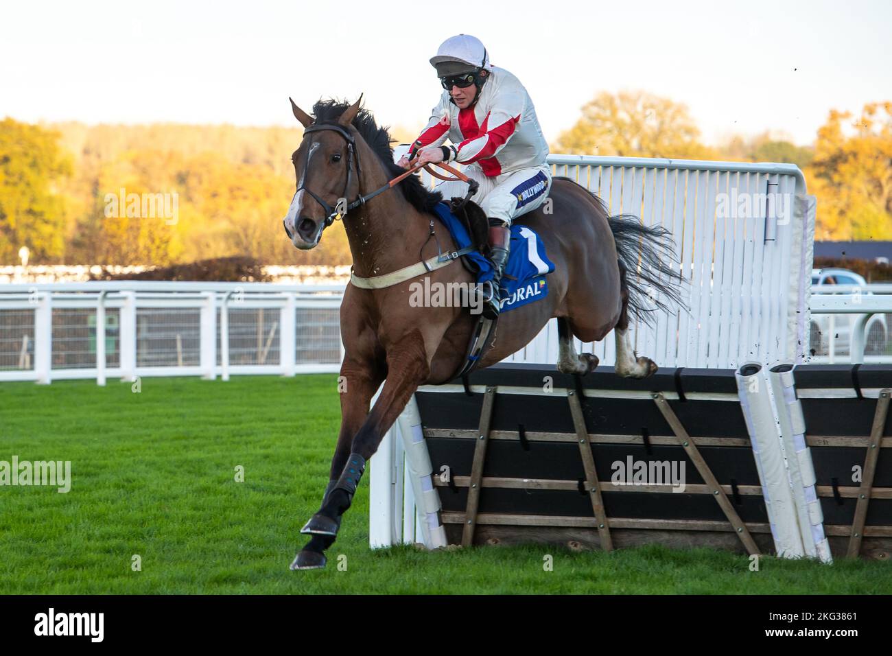 Ascot, Berkshire, Regno Unito. 19th Novembre 2022. Horse Goshen guidato dal jockey Jamie Moore libera l'ultimo ostacolo prima di vincere la Coral Hindle Race alle corse Ascot. Proprietario Steven Packham. Allenatore Gary Moore, Horsham. Allevatore Christophe Toulorge. Sponsor K M Elite Products Ltd. Credito: Maureen McLean/Alamy Foto Stock