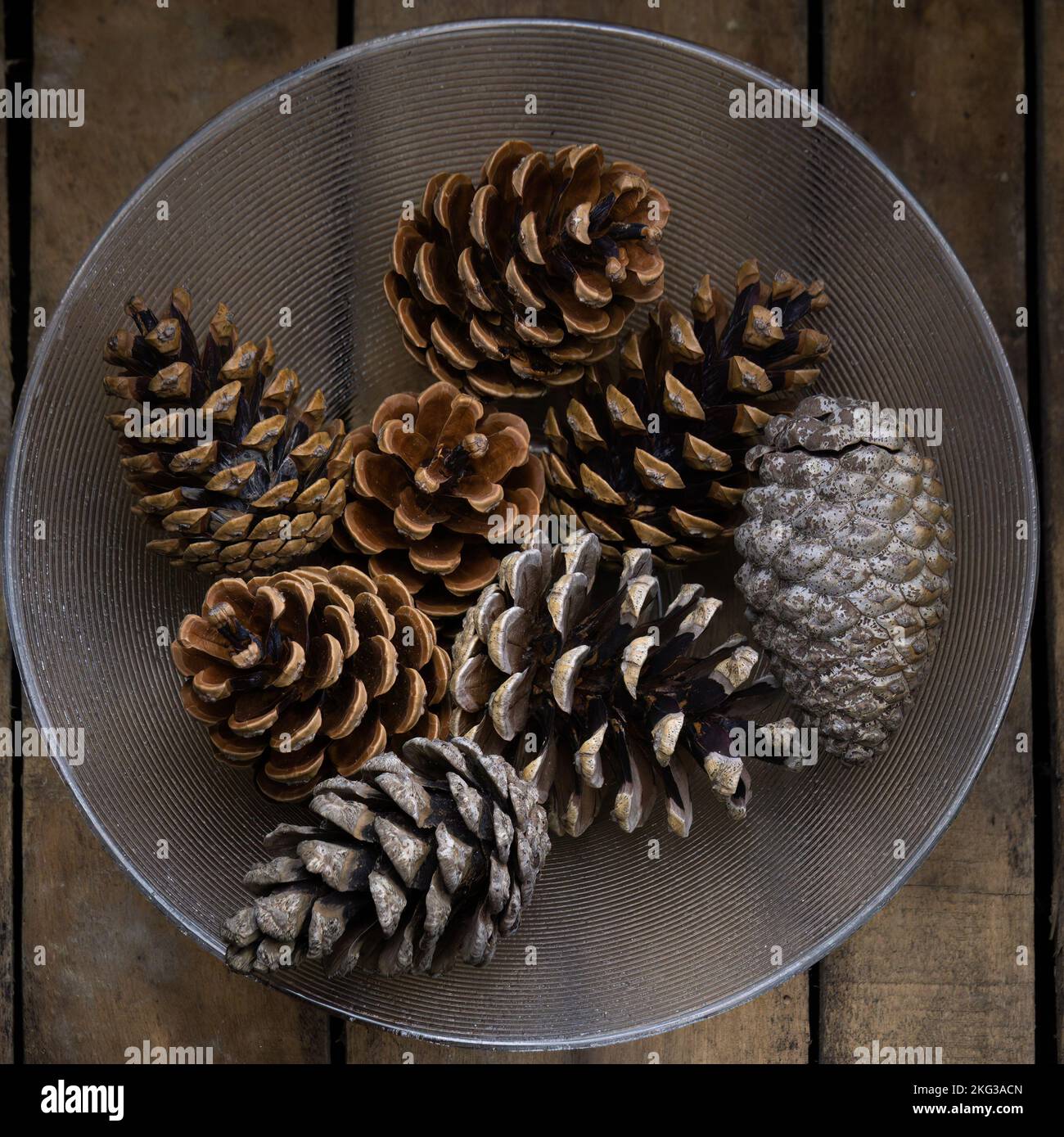 Ciotola di vetro piena di coni di pino su scatola di legno. Rustico. Foto Stock