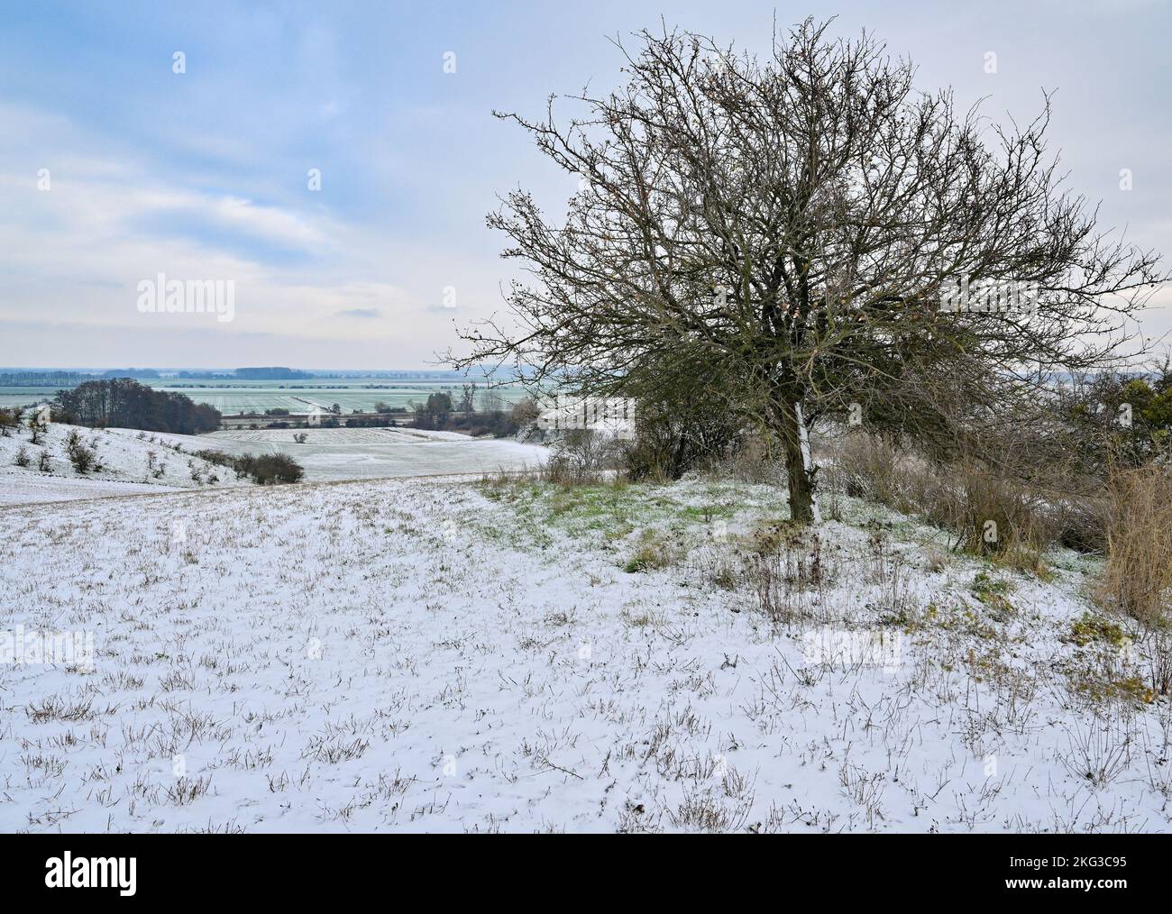 20 novembre 2022, Brandeburgo, Libbenichen: Sulle colline ai margini dell'Oderbruch si trova una piccola neve. Foto: Patrick Pleul/dpa Foto Stock