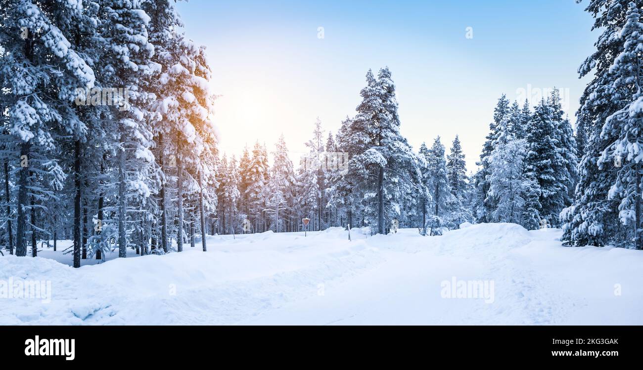 Splendido paesaggio forestale invernale con strada innevata in Finlandia. Foto Stock
