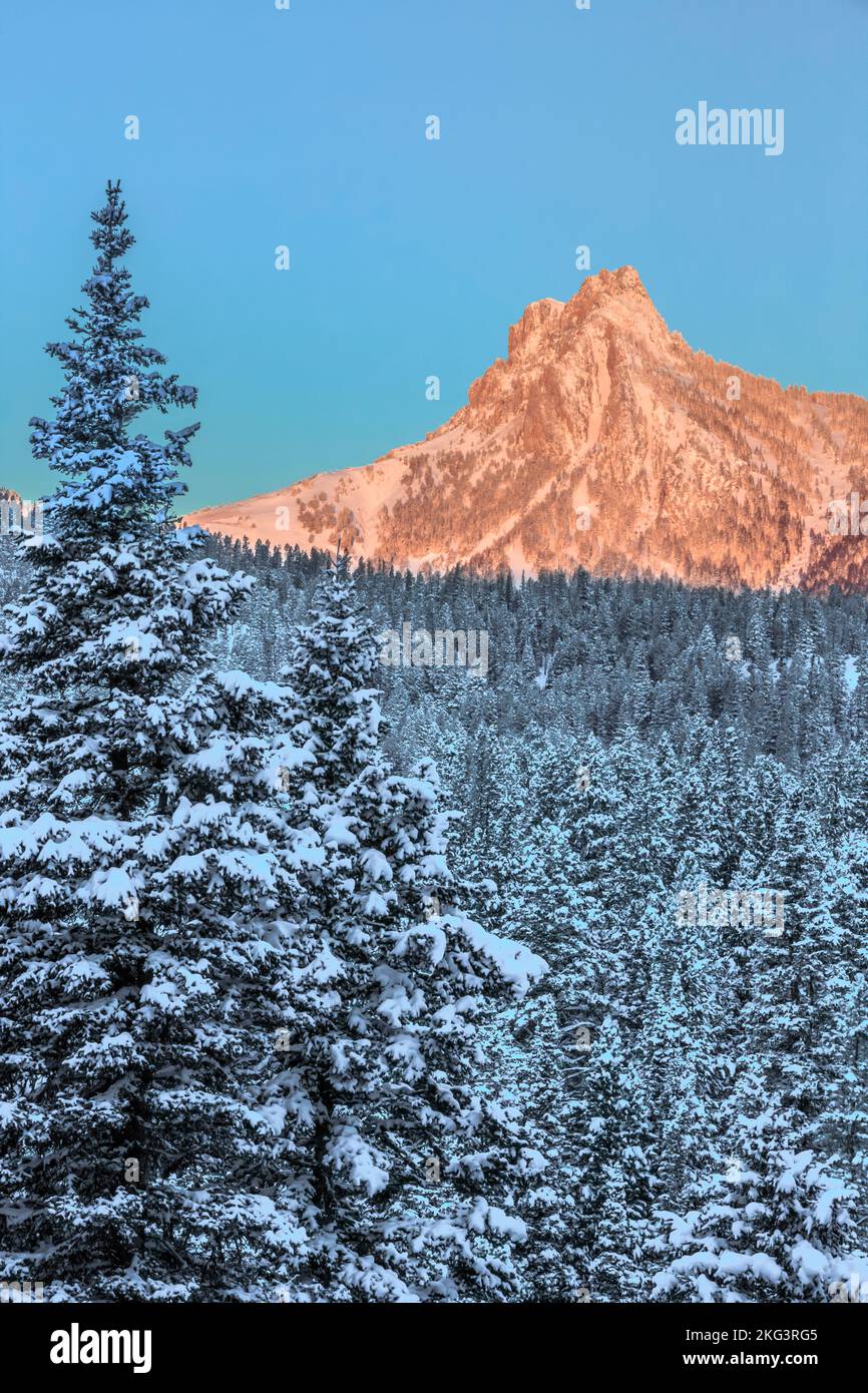 prima luce dell'alba sul picco di ross nella gamma bridger in inverno vicino a bozeman, montana Foto Stock