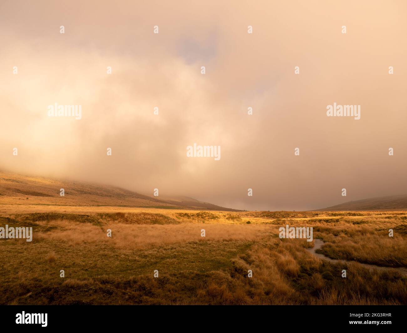 Novembre nel Dartmoor National Park, Devon, Inghilterra, Regno Unito. Foto Stock