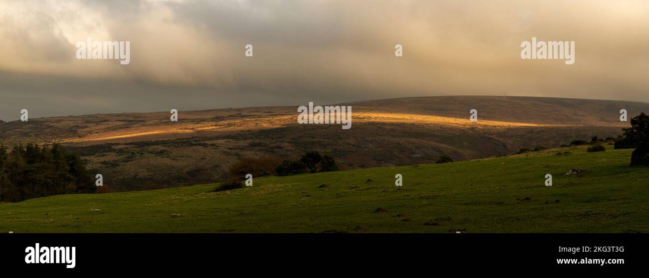 Piscina di luce Dartmoor National Park panorama. Novembre. Foto Stock